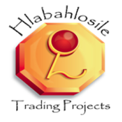 Hlabahlosile Trading Projects