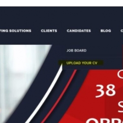 Sales Manager